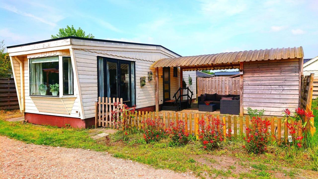 *Butterfly* Heerlijke Chalet Met Omheinde Tuin In Bosrijke Omgeving. Anloo Exterior photo